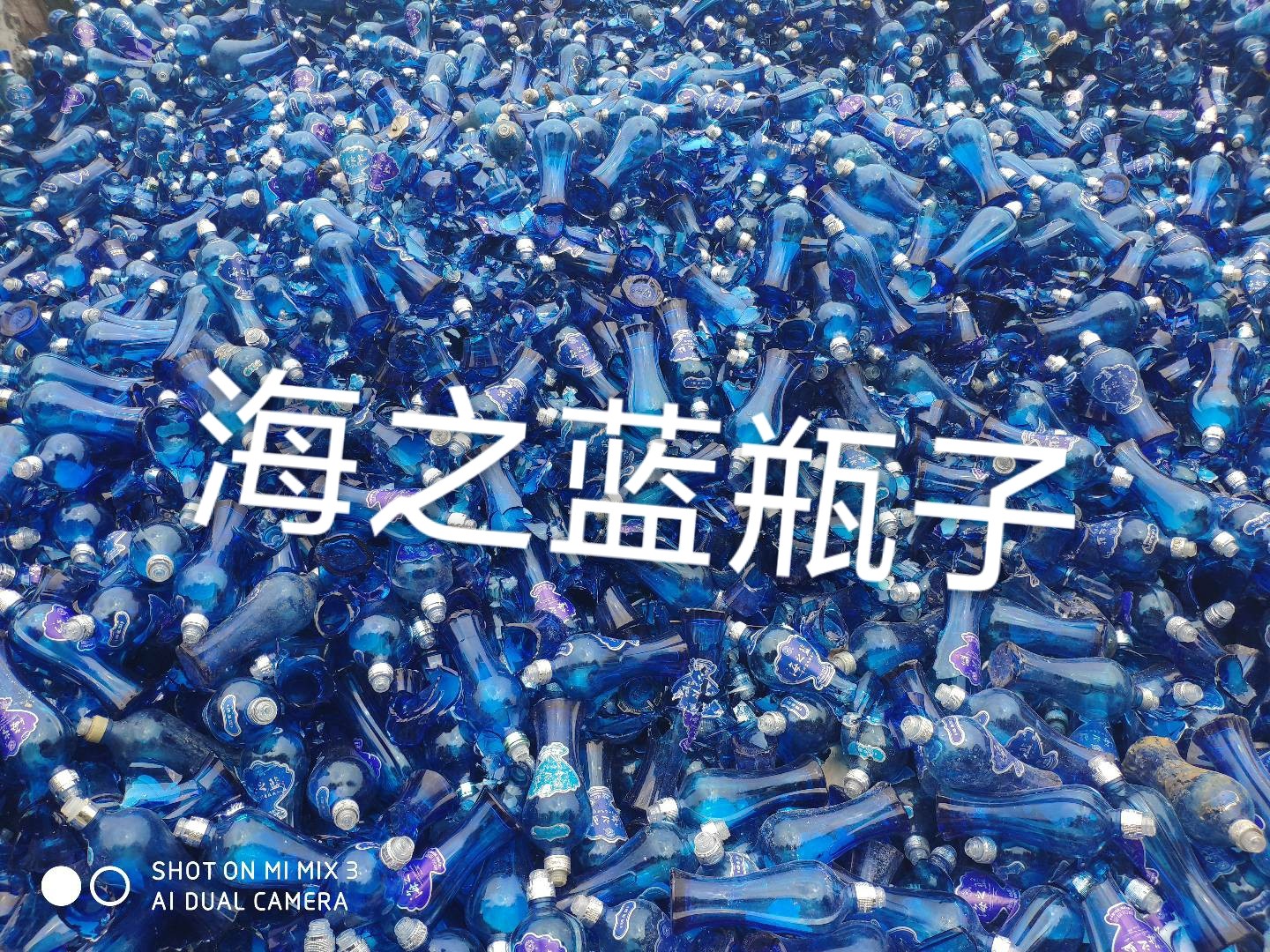 新吴区海之蓝瓶回收